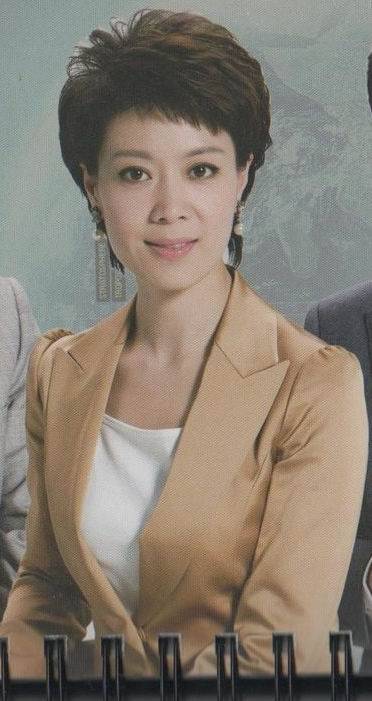 央视女主播文静如今46岁了,与老公结婚多年,没有孩子,但感情一直很