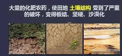 农业种植用地土壤污染可能就是施用肥料不当引起的