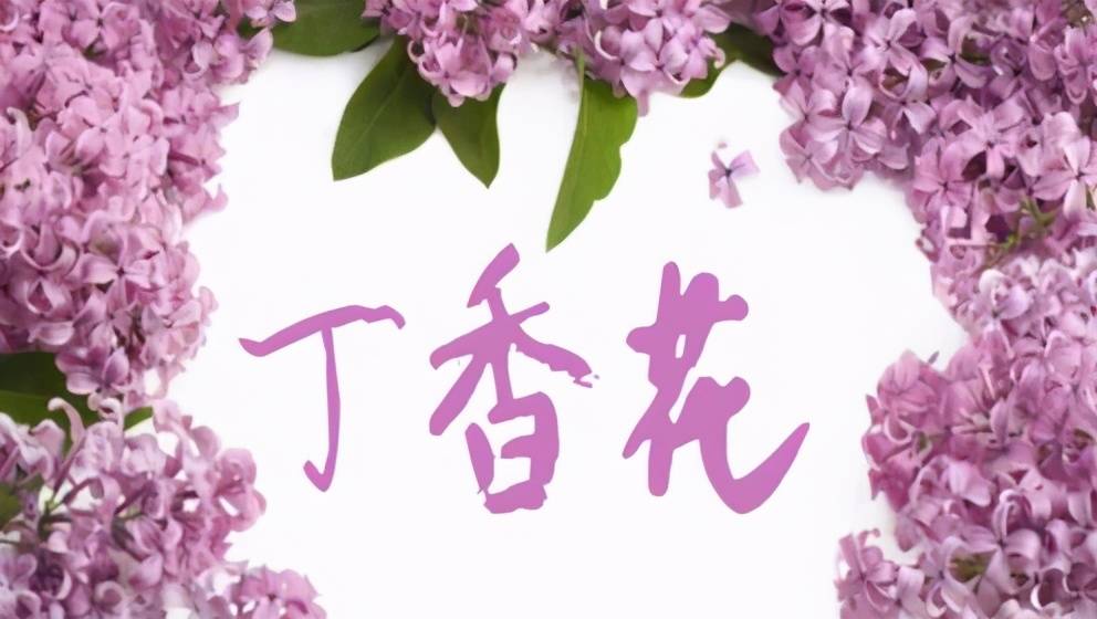 经典歌曲《安妮》和《丁香花》创作背后的故事,听完让