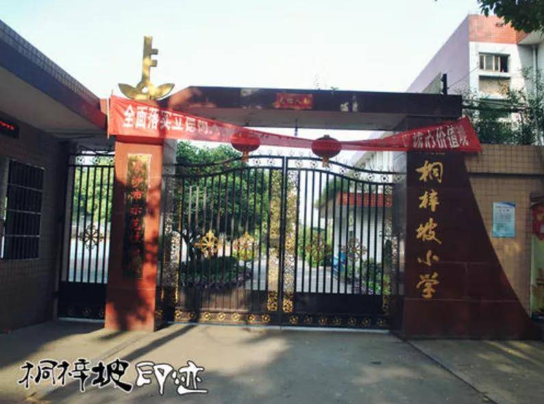 桐梓坡小学 发烧的小孩,焦急的父母,打针打不进去的实习护士,还有