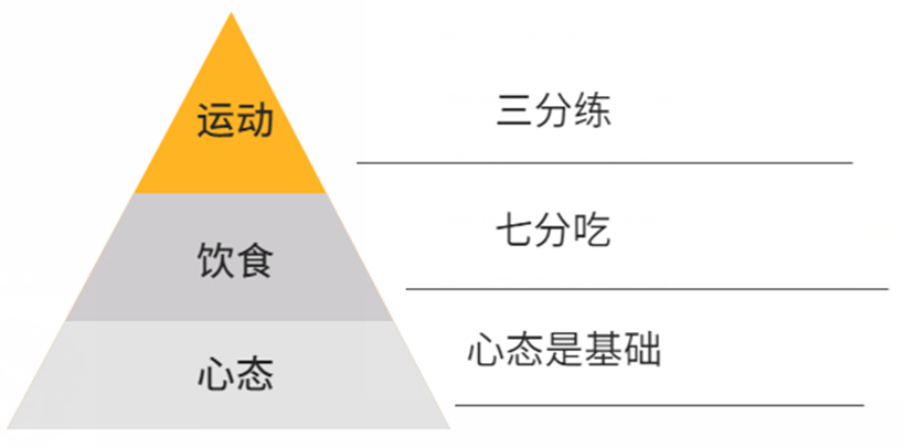 减肥的人口_人口普查