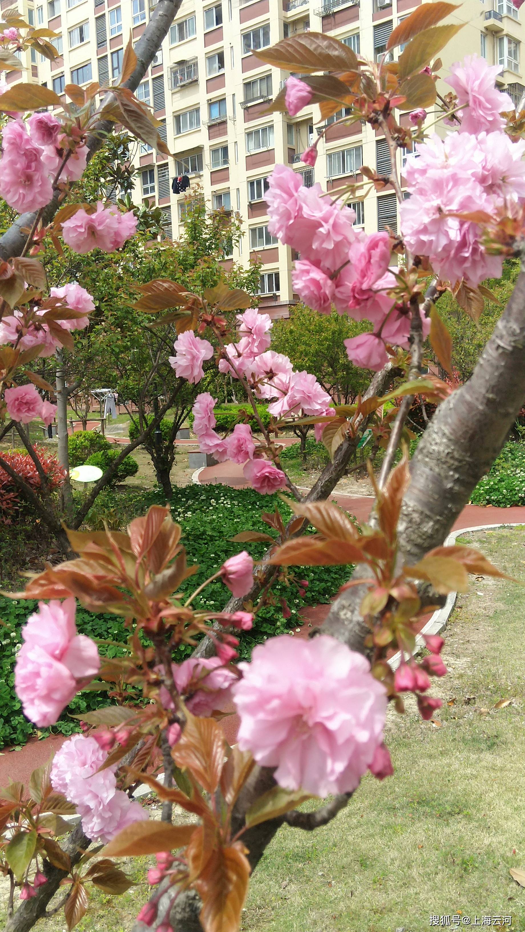 
情况优美的居住小区（8）_beat365亚洲体育官方网站(图3)