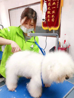 什么宠物不脏 c8f33029dc86445c9427819007bab0af.jpeg