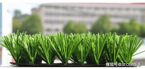 阿尔法|人造草坪 仿真草坪，未来二十年草坪发展的趋势2020.11.18