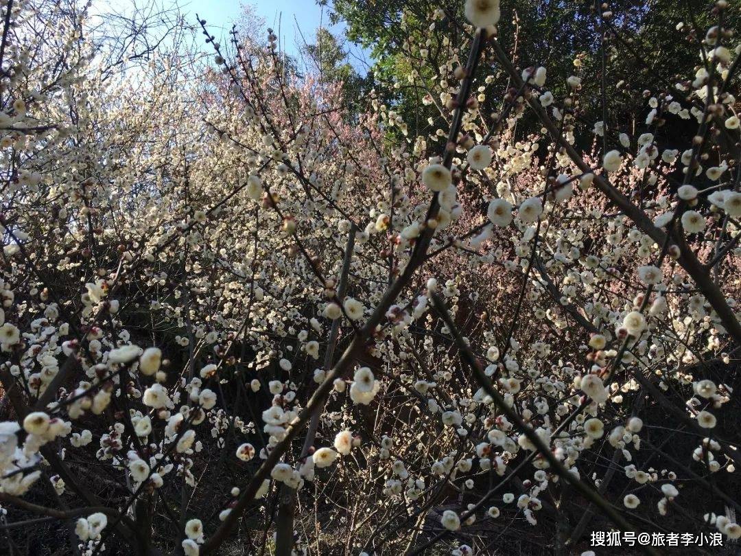 「景区」宁波的后花园——北仑九峰山