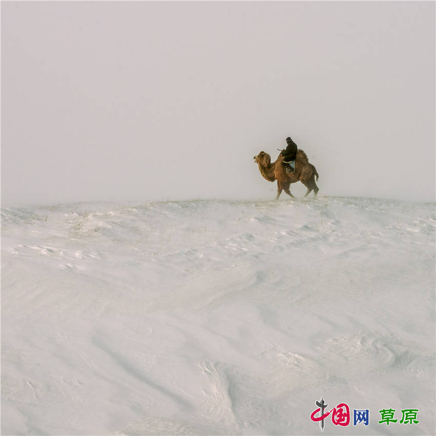 冰天雪地简谱_冰天雪地图片(2)