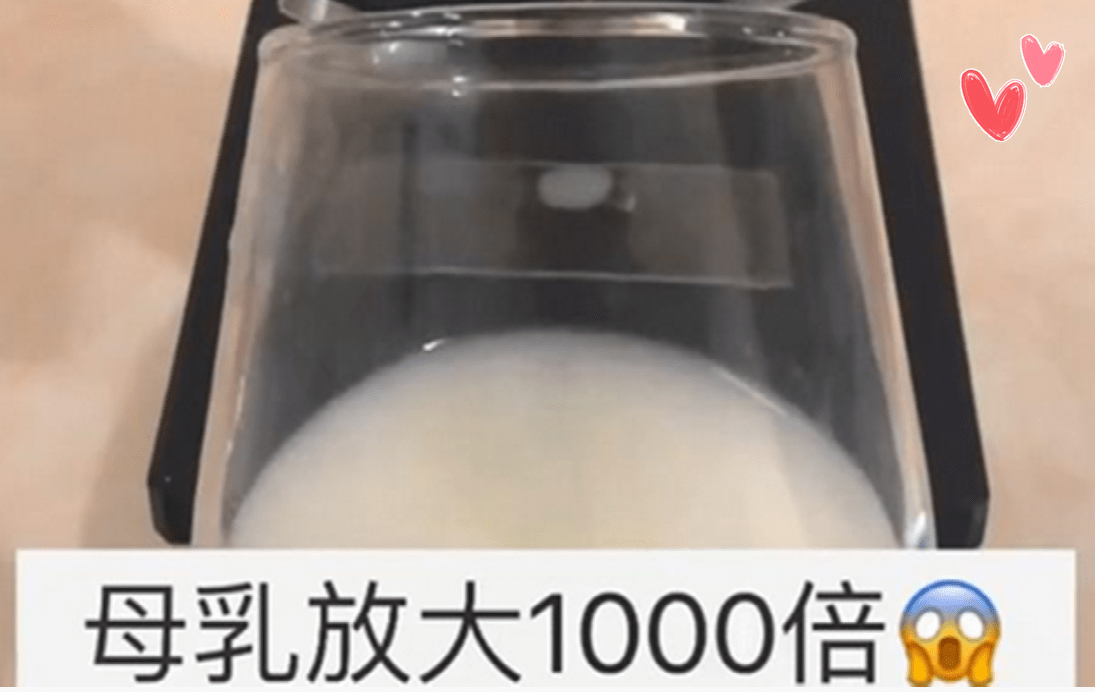 显微镜下看放大1000倍的母乳,蠕蠕而动没有杂质,人类的第一口粮食