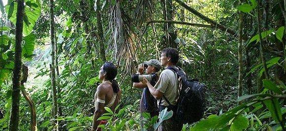 野生动物保护组织正在阻止游客与动物自拍的行为