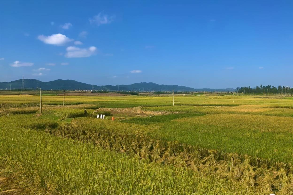 农村空心化,种田人减少,这个问题能依靠科技解决吗?