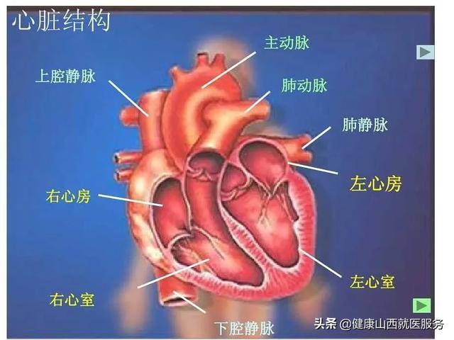 心跳每分钟多少次正常?如果跳成这样,专家喊你赶紧去医院