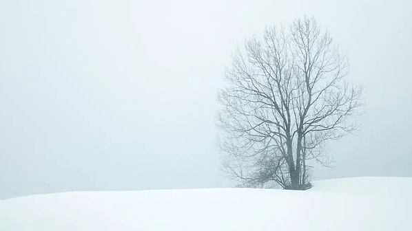 什么雪什么皑成语_雪之下雪乃(4)