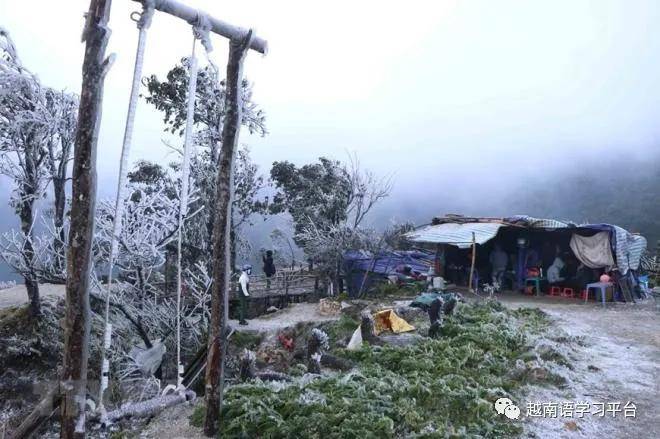 越南北部地区异常"雨夹雪"天气 导致灾区损失严重_手机搜狐网