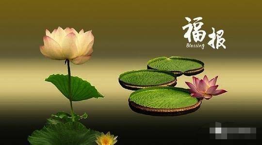什么样的人有福报