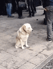 你再妖娆下去,女朋友都找不到了小朋友,穷人家的孩子早当家,你承受的