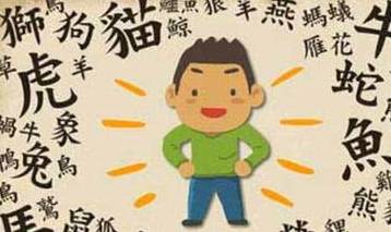 不什么什么力成语大全_成语图片大全(3)