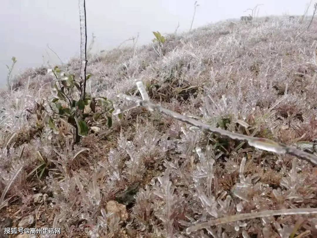 一外地男子在高州大山里失联，只为……