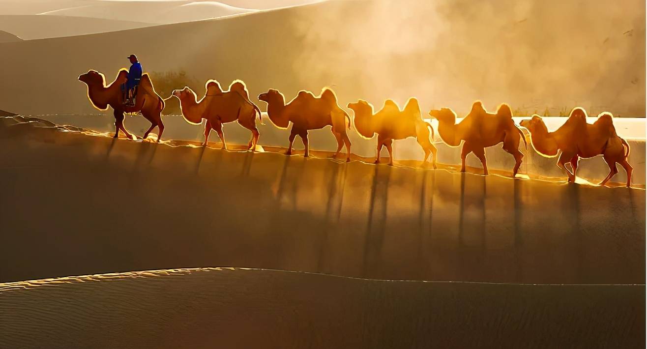 丝绸之路上的沙漠驼队