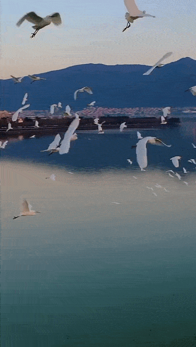 400_705 竖版 竖屏