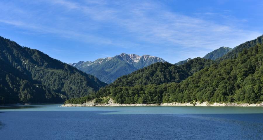 2021上半年家电走势仍然难测，但上涨是大概率事件-家电圈官网