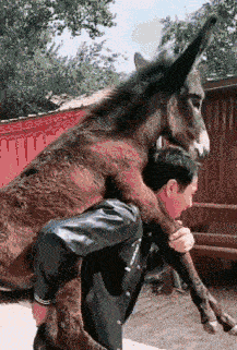 搞笑gif: 妹子不让你笑,你千万别笑