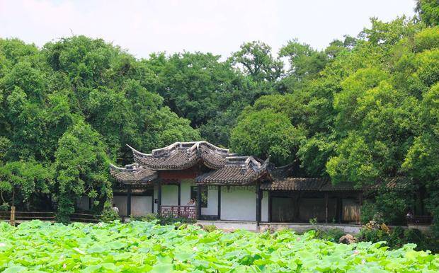 江浙交界地带，一座中西合璧的古镇，镇上都是当地首富名人的豪宅