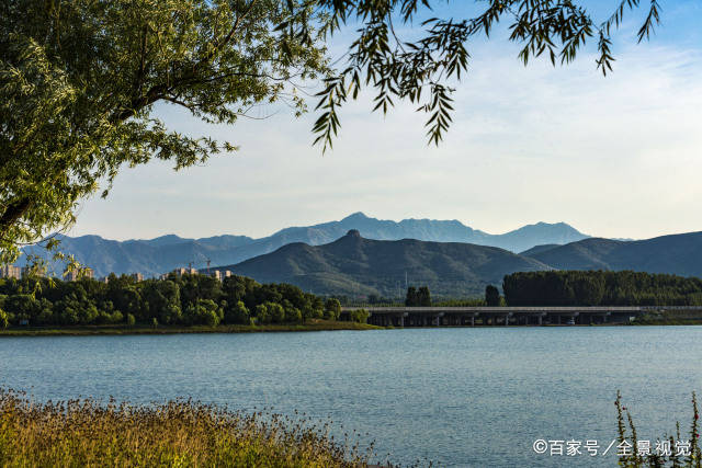 邹平GDP多少_邹平一中南校区