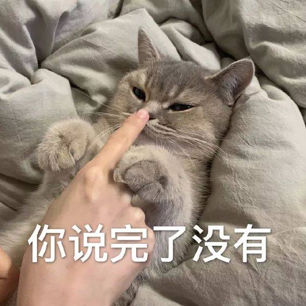 猫咪表情包:投降,投降,我投降!