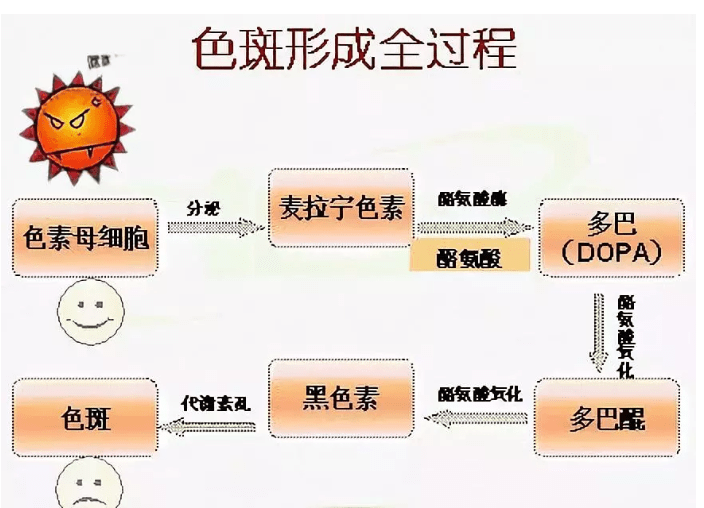 原创祛斑先去黑色素无斑时代ph450代谢溶解酶带你了解