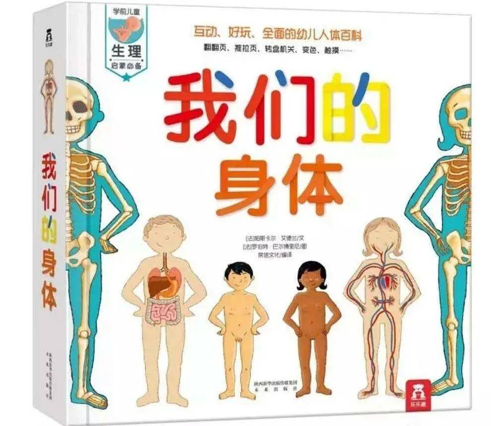身体教育绘本:从宝宝的角度出发认识身体