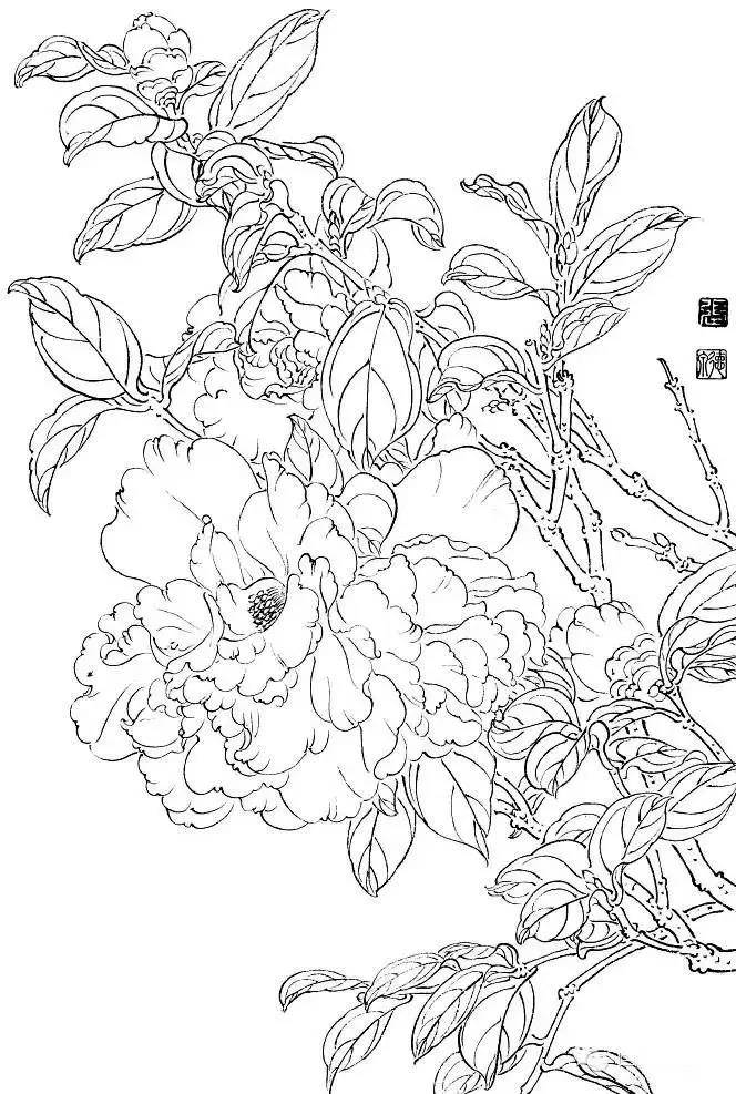 陆抑非 论花鸟画的基本练习