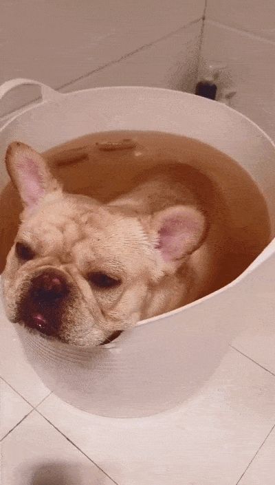 农业开发与装备,2018(10):238-239