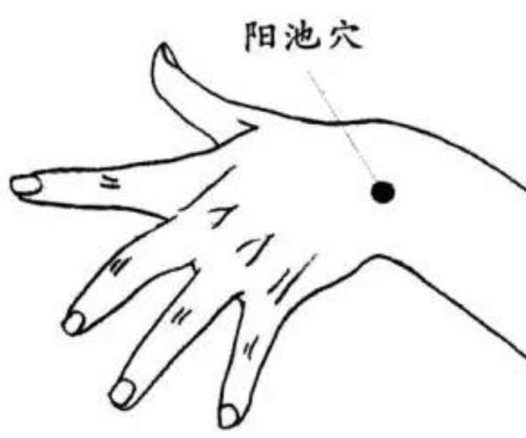 ②,三焦俞穴:三焦俞穴可以利水通淋,利水强腰,清热利湿.