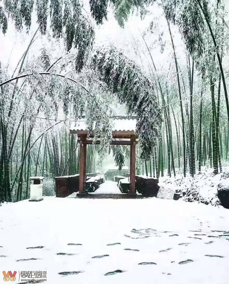 四川蜀南竹海雪景欣赏