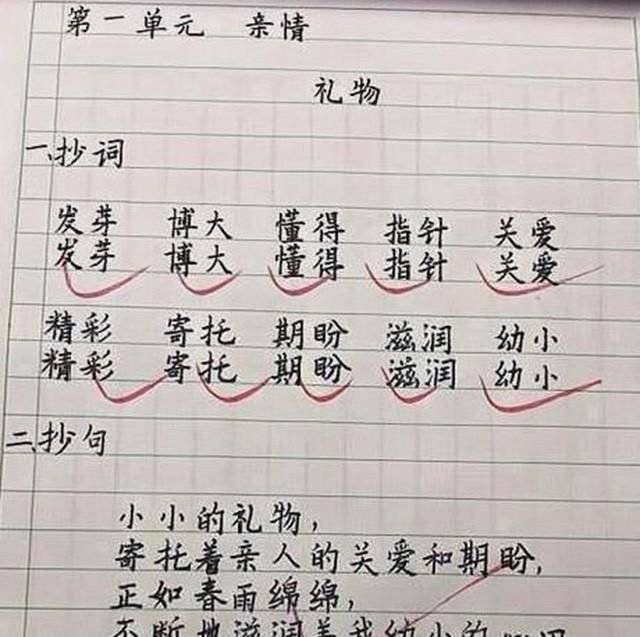 小学生学霸来了字迹工整法度森严堪称印刷体让人羡慕