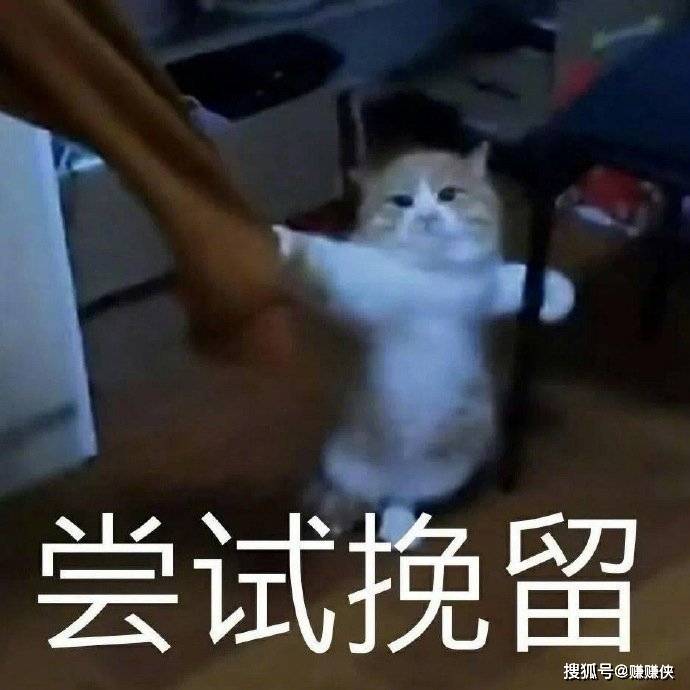 可爱表情包图片:我错了