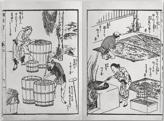 江户时代后期的《广益国产考》中描述的酱油的生产状态图片来源:龟甲