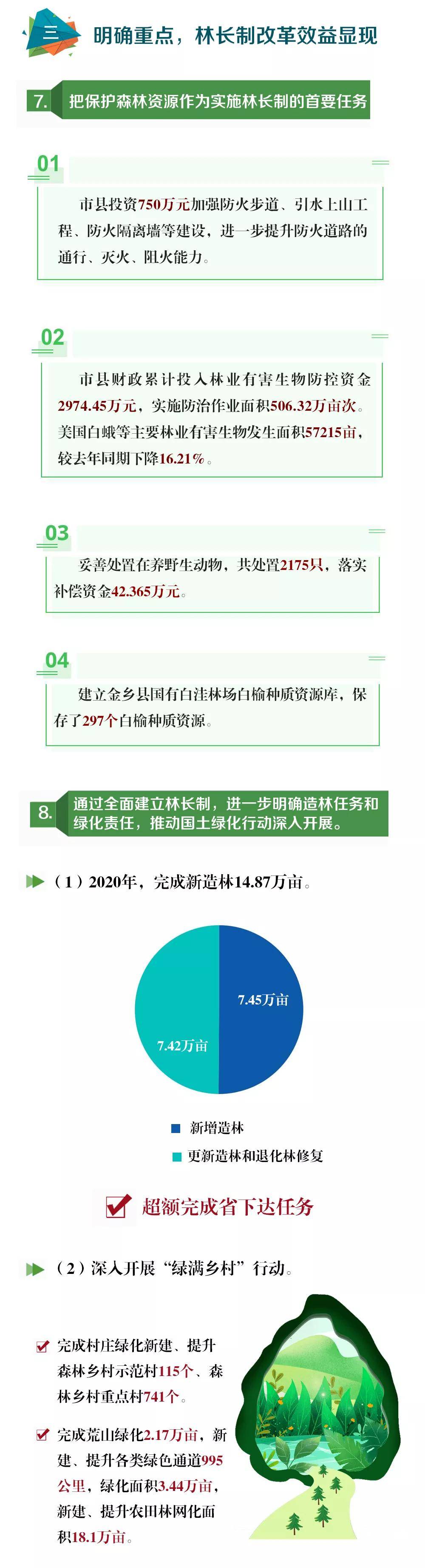 落实林长制改革,筑牢生态防线—济宁林长制工作取得实效