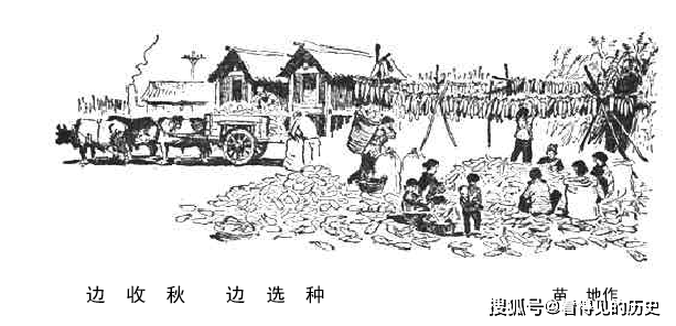 青年们到第一线去1960年人民日报上的速写