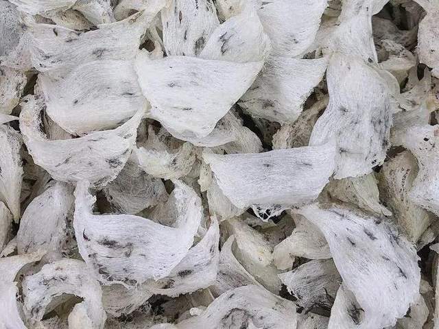 燕窝颜色有差异,原因是什么?
