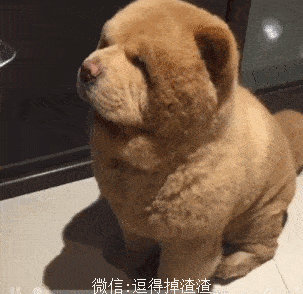 搞笑gif段子:几个处的特别好的初中同学在微信组建了一个小群,经常发