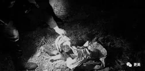 这篇帖子一石激起千层浪,童年阴影,重金属,变态杀戮,这些之前从未有过