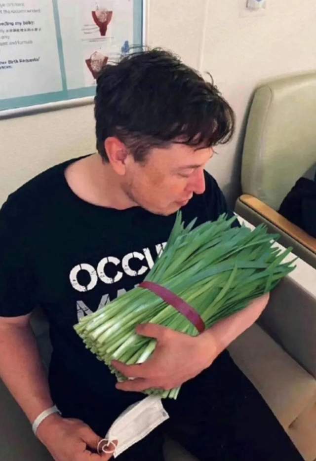 每日大事报:戴姆勒卡车将独立上市,马斯克亲口承认割韭菜