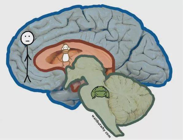 黑丝与白丝,只要好看都是好丝对于女生来说,丝袜能起到修饰腿型的作用