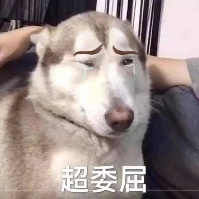 咦,那傻逼人呢?