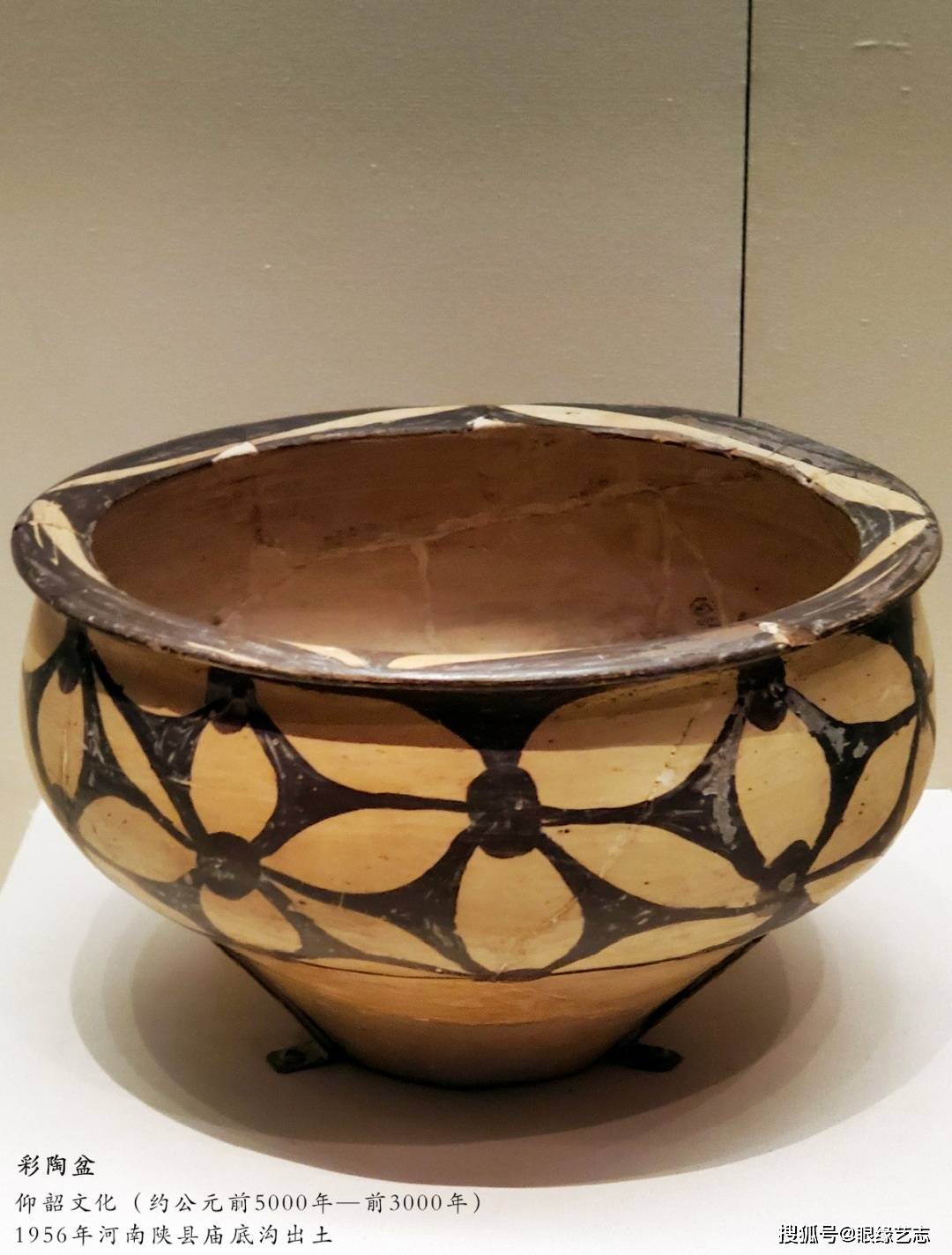 河姆渡文化遗址所出土的陶器是在我国发现的最早的彩陶文化,我们所