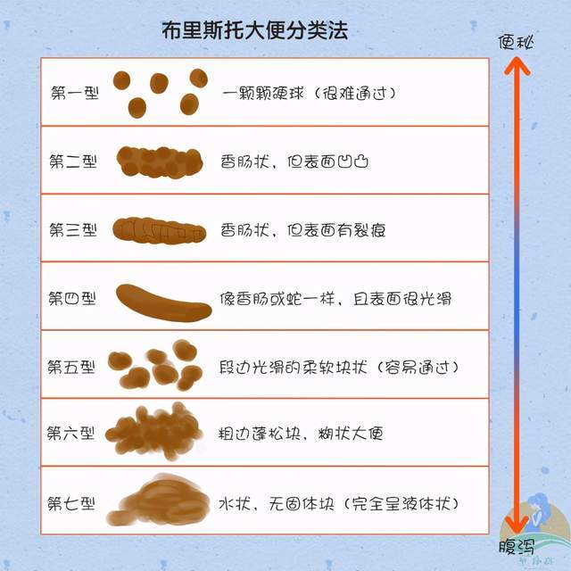 ⑤ 大便形态