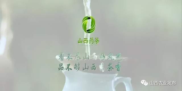 山西药茶登陆央视叫响中国第七大茶系