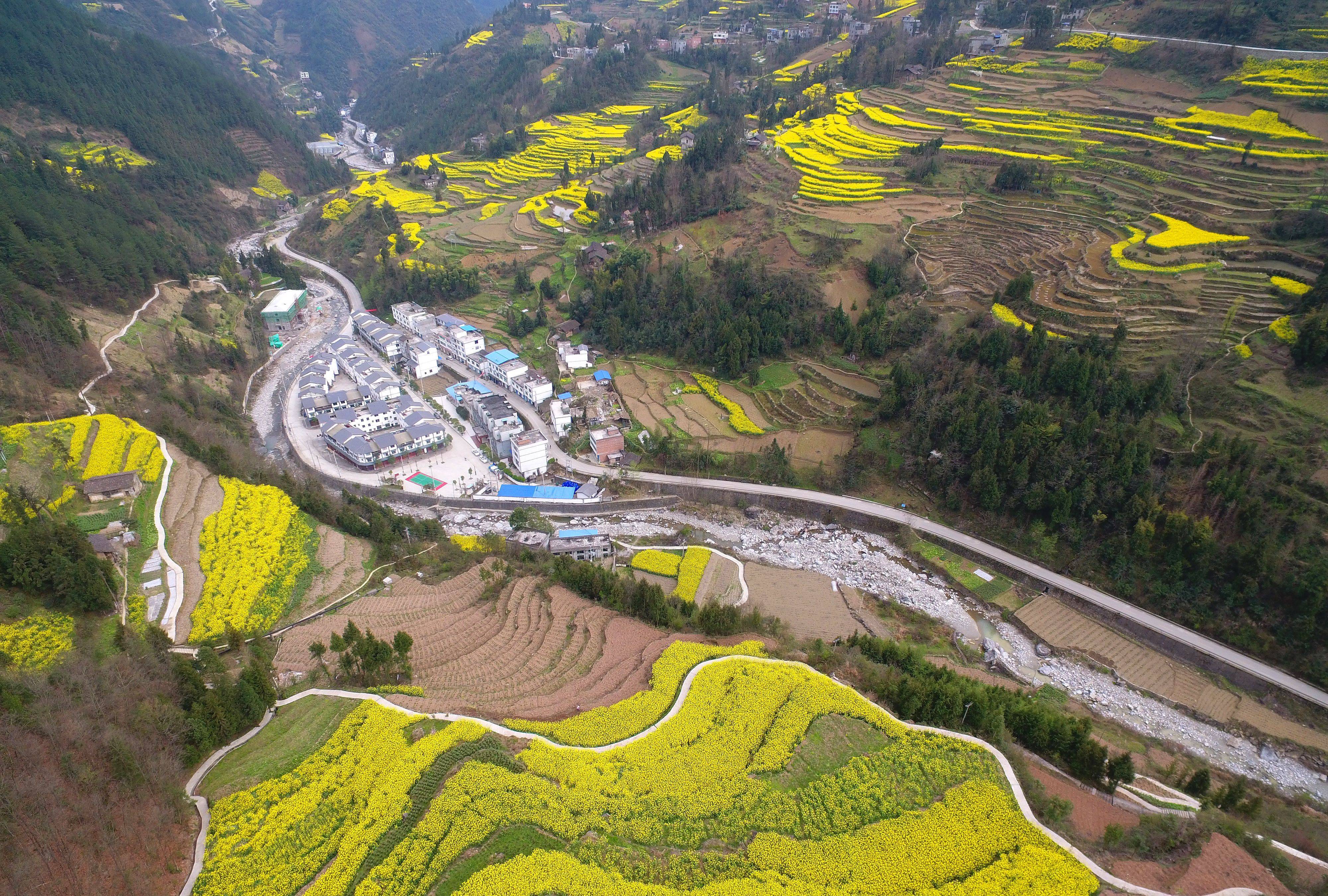 重庆农商行支持城口县美丽乡村建设,图为城口县周溪乡居民新居一角.