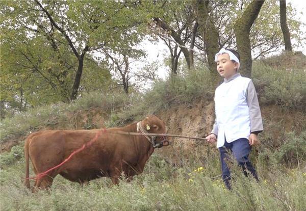 他被"抗日英雄"王二小救下,为了报恩守墓58年,如今怎样了