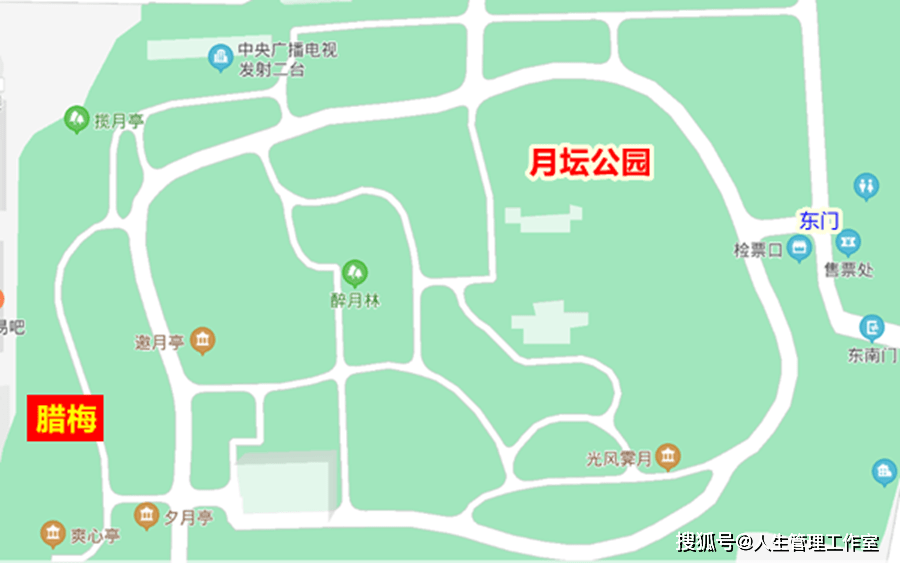 北海公园腊梅,在琼华岛上"永安寺"内的"静憩轩"前.